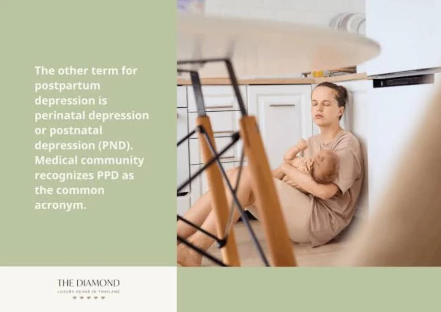 What Does PND Mean in Text & Chat