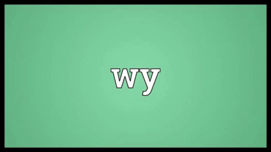 What Does “WY” Mean in Chat