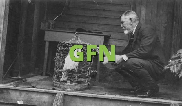 How to Reply When Someone Says GFN