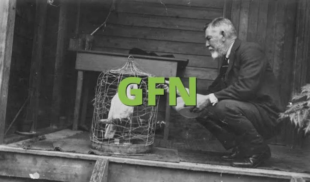 How to Reply When Someone Says GFN