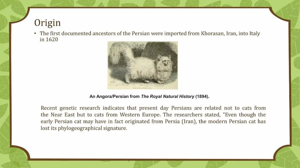 Origin, History & First Known Use of Tho