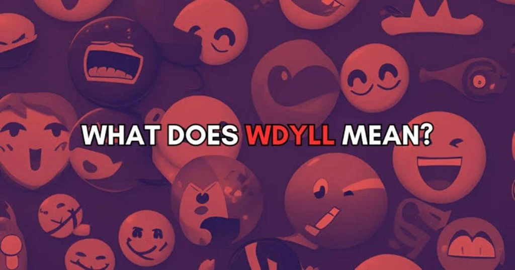 WDYLL Meaning Across WhatsApp, Instagram, TikTok & Snapchat